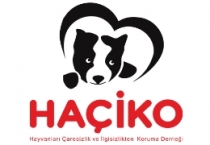 Ve İnteraktif Medya - HAÇİKO DERNEĞİ