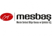 Ve İnteraktif Medya - Mesbaş